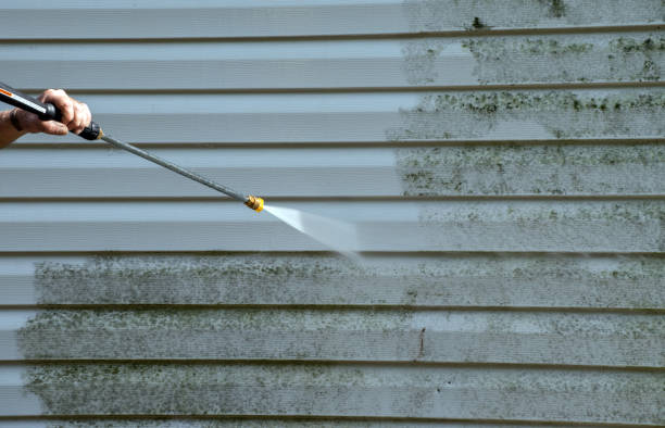 Pre-Holiday Cleaning in Terra Alta, WV